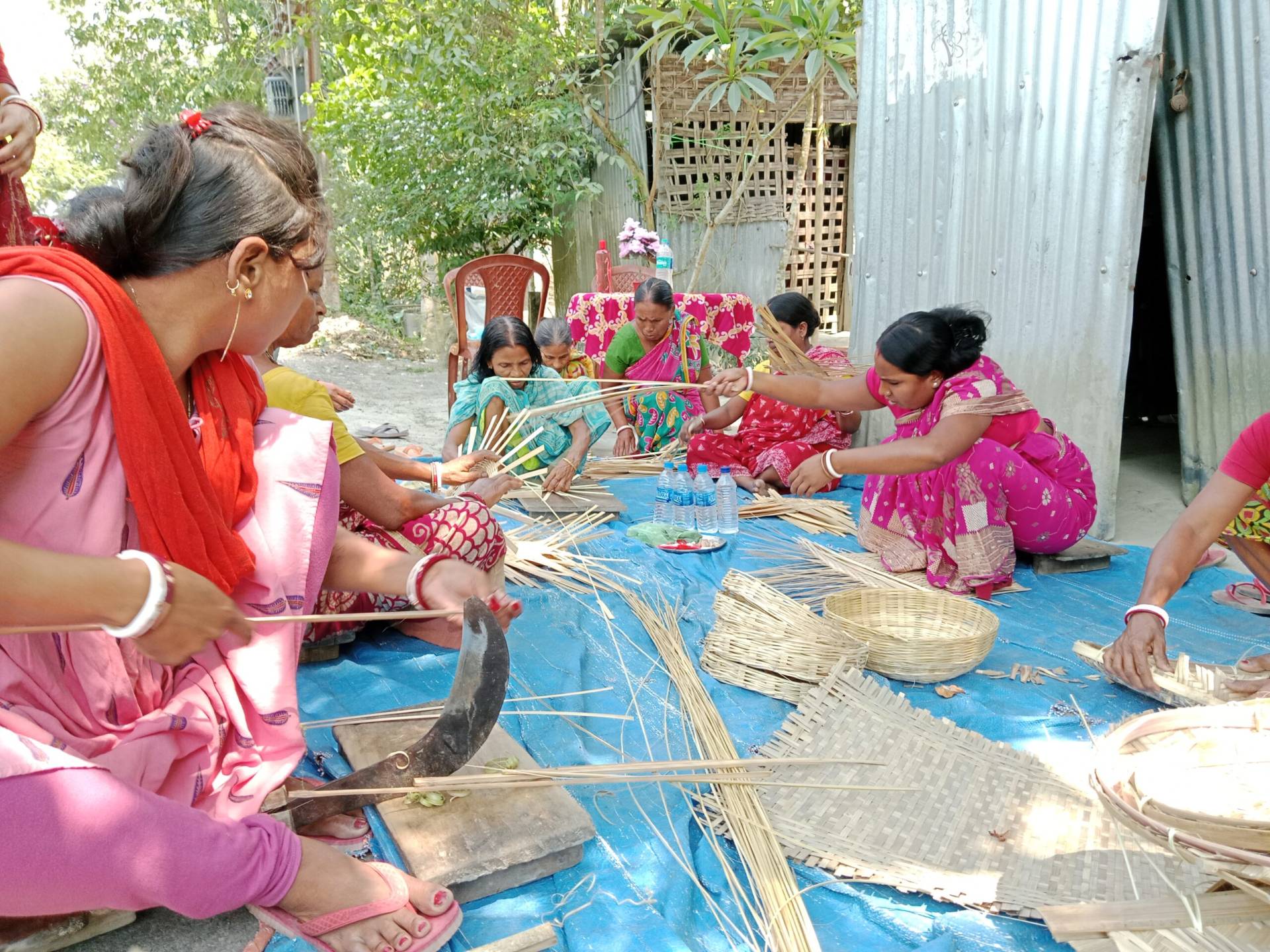 Livelihood Promotion