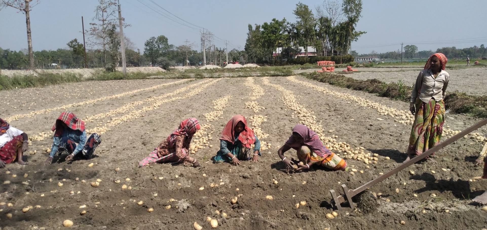 Livelihood Promotion